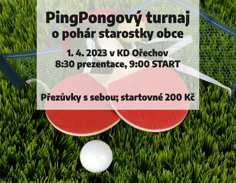 ping-pong-1