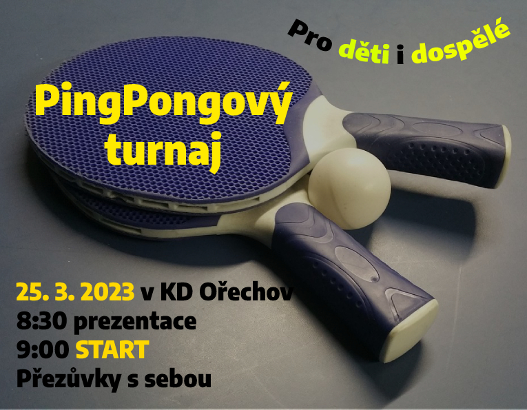 ping-pong-25